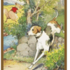 Bowser the Hound by Thornton W. Burgess