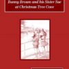 Bunny Brown and his Sister Sue at Christmas Tree Cove Audiobook by Laura Lee Hope
