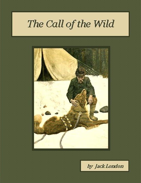 Call of the Wild Audiobook by Jack London