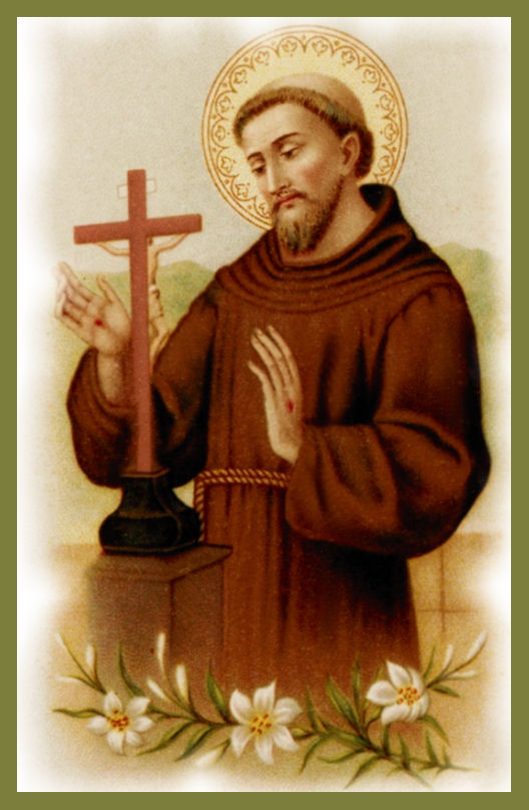 Flowers from the Garden of Saint Francis for Every Day of the Year Audiobook by St. Francis of Assisi