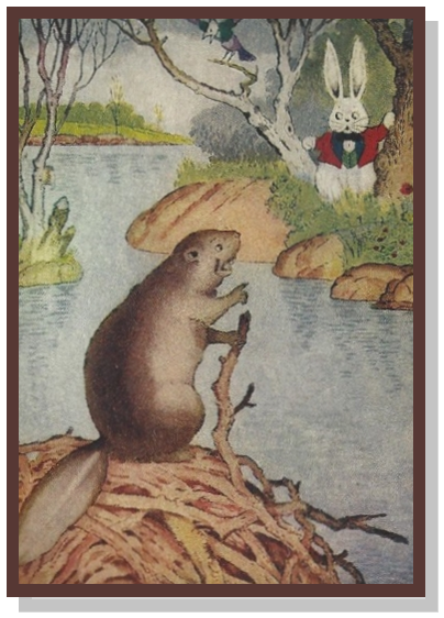 Adventures of Paddy Beaver by Thornton W. Burgess