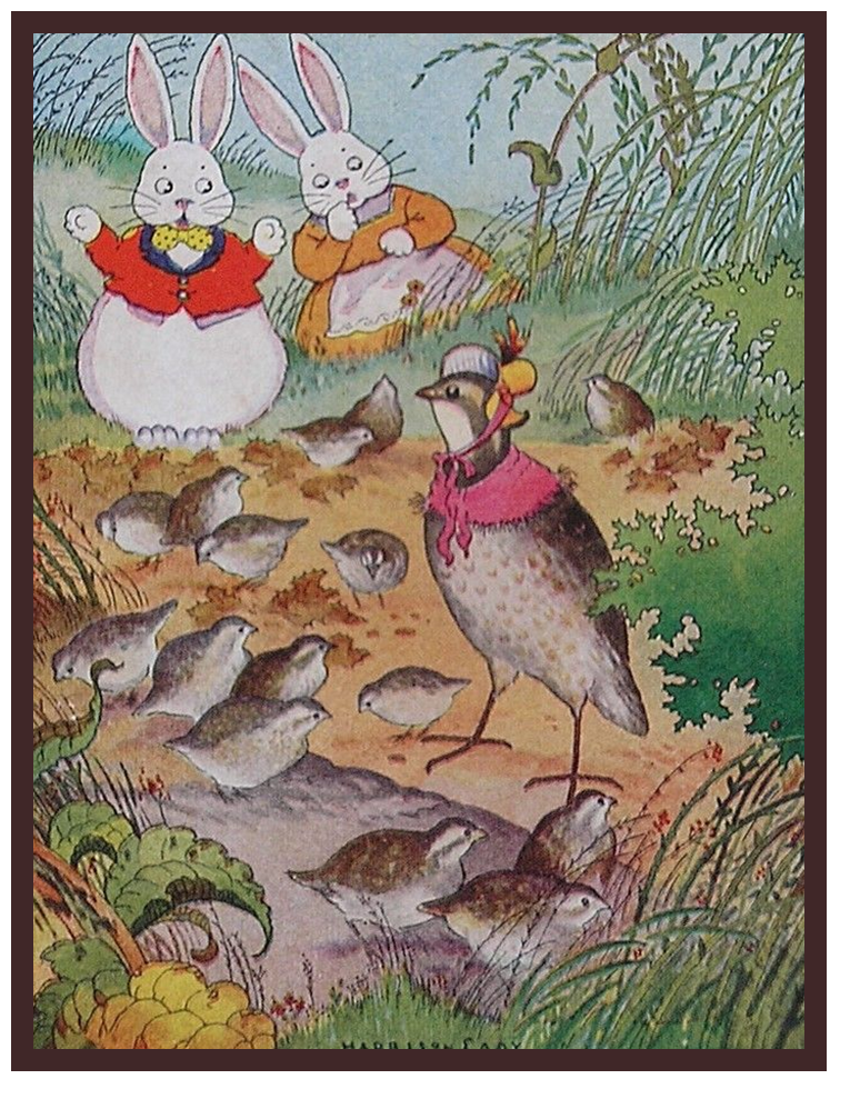 Adventures of Bob White by Thornton W. Burgess