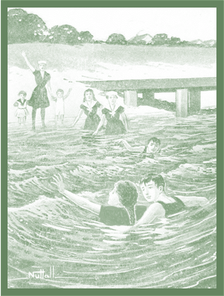 The Bobbsey Twins at the Seashore by Laura Lee Hope