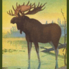 The Burgess Animal Book for Children by Thornton W. Burgess