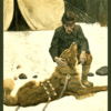 Call of the Wild Audiobook by Jack London