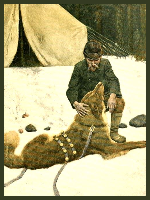Call of the Wild by Jack London